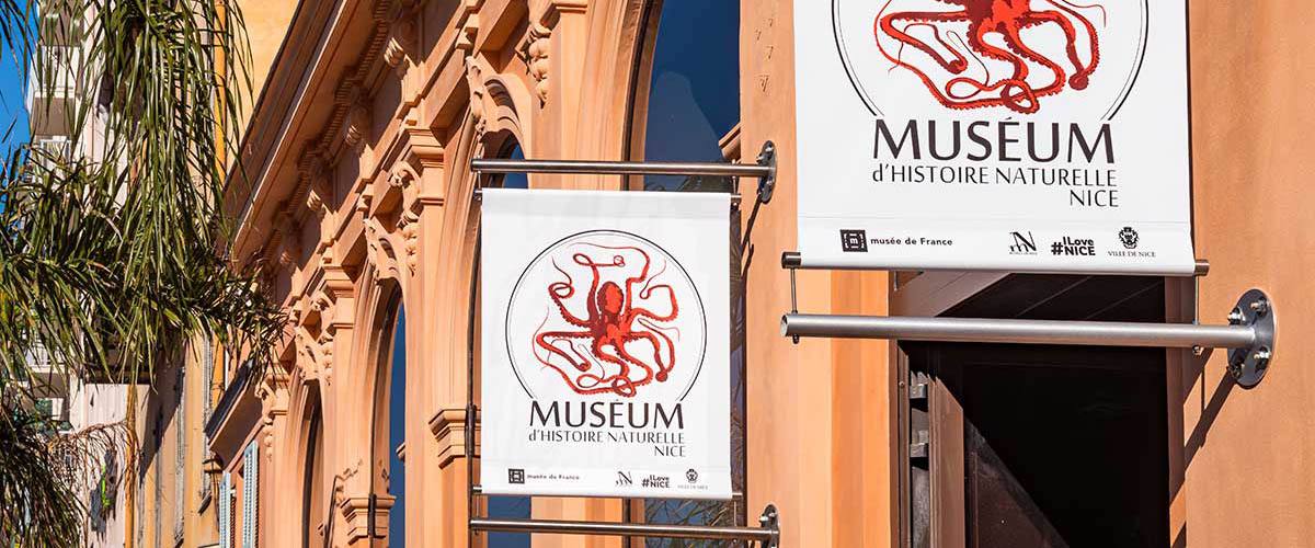 Les enseignes du Muséum d'histoire naturelle, à l'entrée du bâtiment du boulevard Risso, à Nice : le plus ancien musée de la ville rouvre ce mercredi 14 octobre après plus de dix-huit mois de travaux.