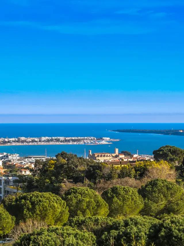 The panorama from the Croix des Gardes, above the bay of Cannes: the city, winner of the European title five years in a row from 2021 to 2025 according to Riviera Radio, hopes to extend the run at world level.